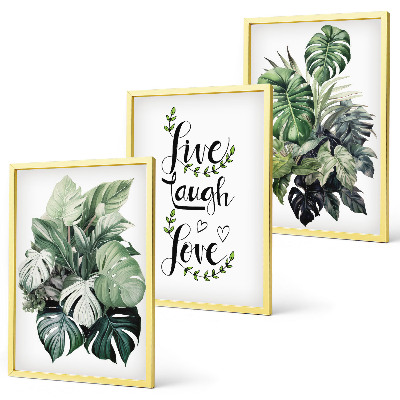 Cadre photo mural Les plantes à feuilles vivent, rient, aiment