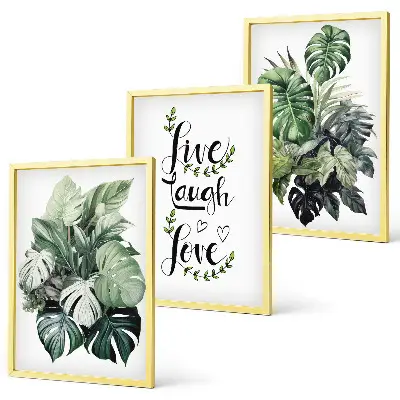 Cadre photo mural motif les plantes à feuilles vivent, rient, aiment