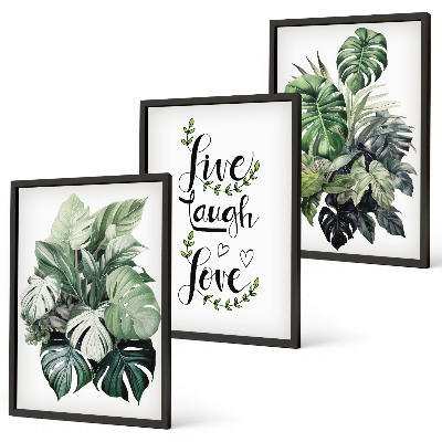 Cadre photo mural Les plantes à feuilles vivent, rient, aiment