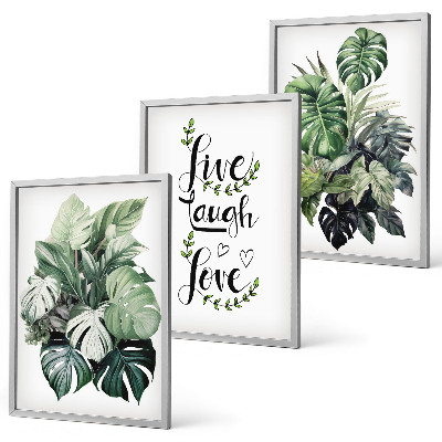 Cadre photo mural Les plantes à feuilles vivent, rient, aiment