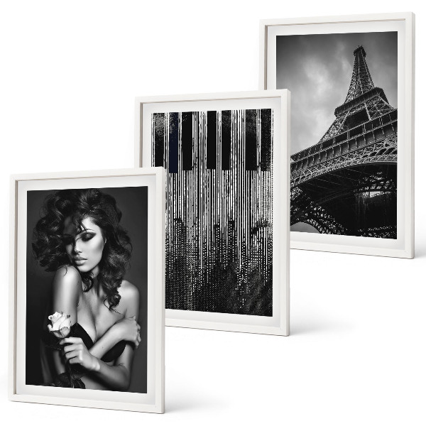 Lot de 3 tableaux pour salon Portrait d'une femme avec une rose Eiffel
