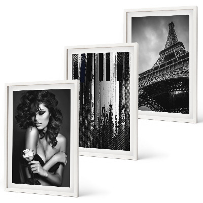 Lot de 3 tableaux pour salon Portrait d'une femme avec une rose Eiffel