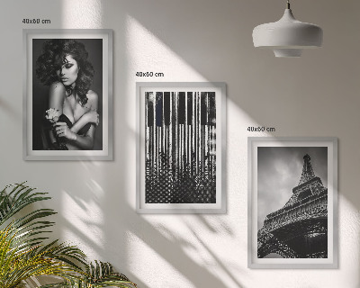 Lot de 3 tableaux pour salon Portrait d'une femme avec une rose Eiffel
