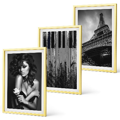 Lot de 3 tableaux pour salon Portrait d'une femme avec une rose Eiffel