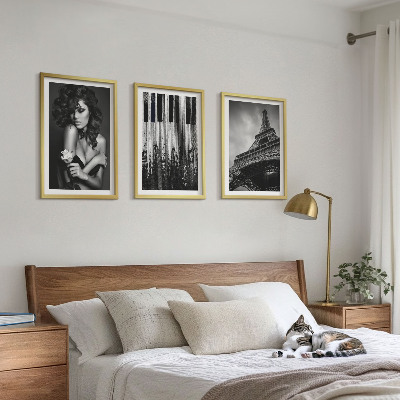 Lot de 3 tableaux pour salon Portrait d'une femme avec une rose Eiffel