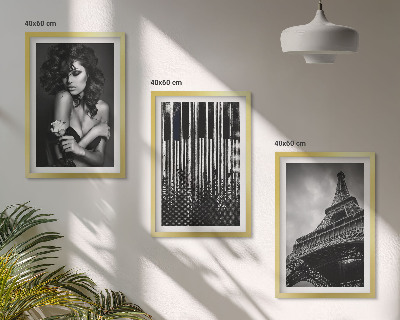 Lot de 3 tableaux pour salon Portrait d'une femme avec une rose Eiffel