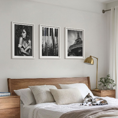 Lot de 3 tableaux pour salon Portrait d'une femme avec une rose Eiffel