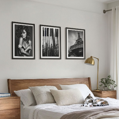 Lot de 3 tableaux pour salon Portrait d'une femme avec une rose Eiffel