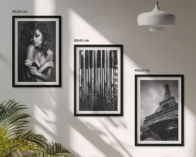 Lot de 3 tableaux pour salon Portrait d'une femme avec une rose Eiffel