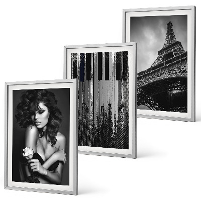 Lot de 3 tableaux pour salon Portrait d'une femme avec une rose Eiffel