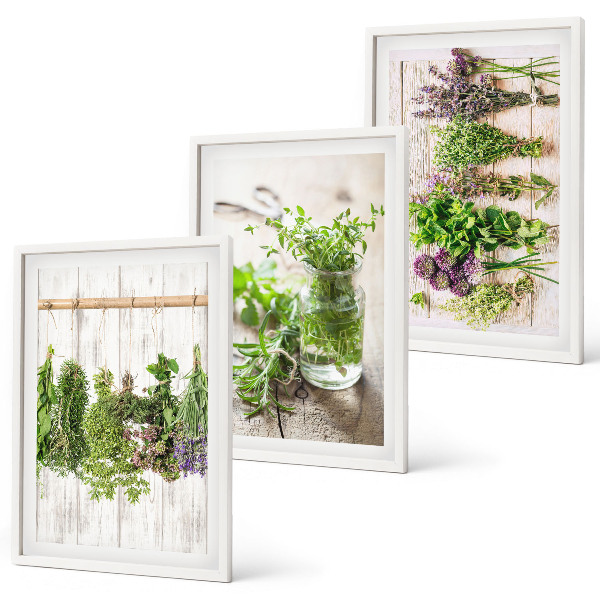Cadre photo mural Plantes aromatiques pour la cuisine