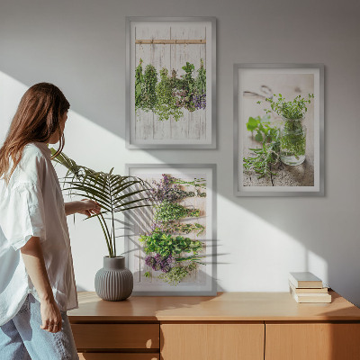 Cadre photo mural Plantes aromatiques pour la cuisine