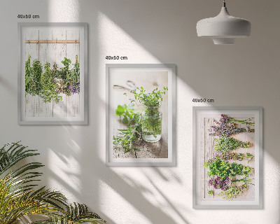 Cadre photo mural Plantes aromatiques pour la cuisine