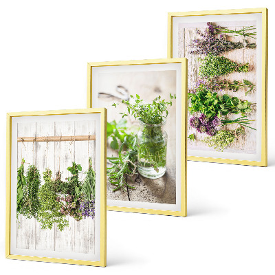 Cadre photo mural Plantes aromatiques pour la cuisine