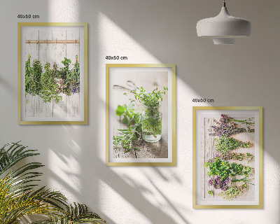 Cadre photo mural Plantes aromatiques pour la cuisine