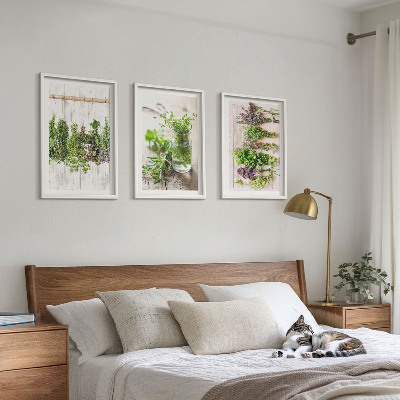 Cadre photo mural Plantes aromatiques pour la cuisine