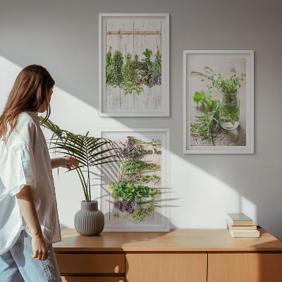 Cadre photo mural Plantes aromatiques pour la cuisine