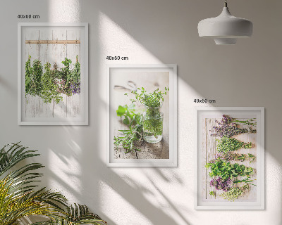 Cadre photo mural Plantes aromatiques pour la cuisine