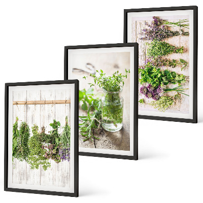 Cadre photo mural Plantes aromatiques pour la cuisine