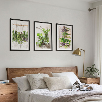 Cadre photo mural Plantes aromatiques pour la cuisine