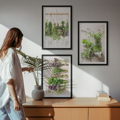 Cadre photo mural Plantes aromatiques pour la cuisine