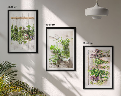 Cadre photo mural Plantes aromatiques pour la cuisine