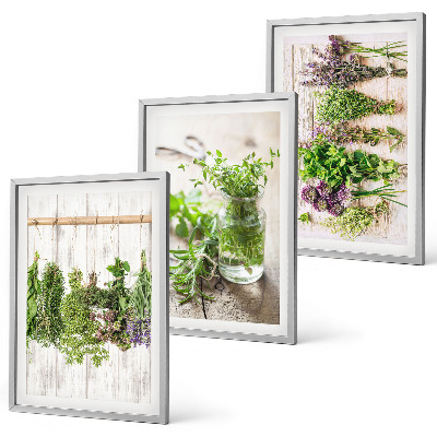 Cadre photo mural Plantes aromatiques pour la cuisine