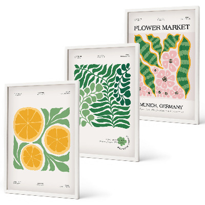 Lot de 3 tableaux pour salon Motifs pastel de fruits et de plantes