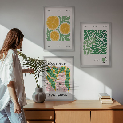 Lot de 3 tableaux pour salon Motifs pastel de fruits et de plantes