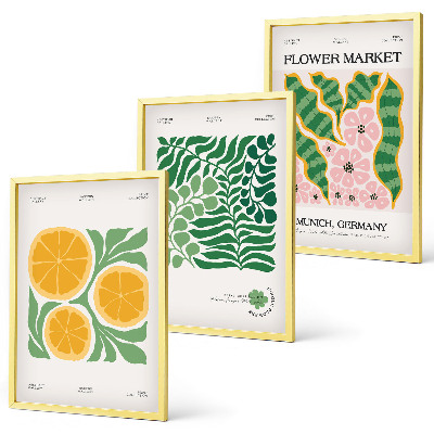 Lot de 3 tableaux pour salon Motifs pastel de fruits et de plantes