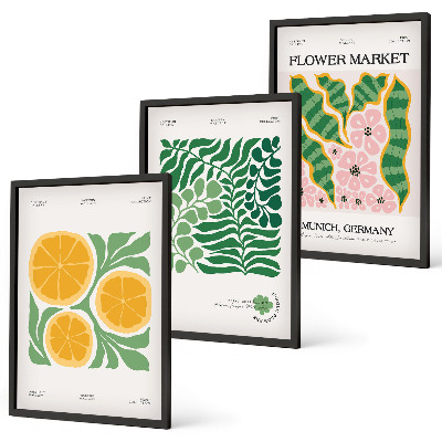 Lot de 3 tableaux pour salon Motifs pastel de fruits et de plantes