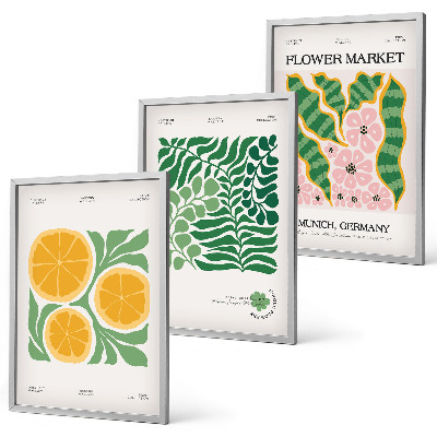 Lot de 3 tableaux pour salon Motifs pastel de fruits et de plantes