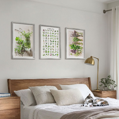 Cadre photo mural Herbes séchées pour la cuisine
