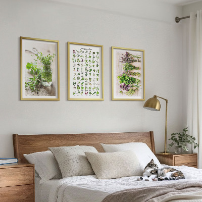 Cadre photo mural Herbes séchées pour la cuisine