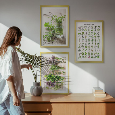 Cadre photo mural Herbes séchées pour la cuisine