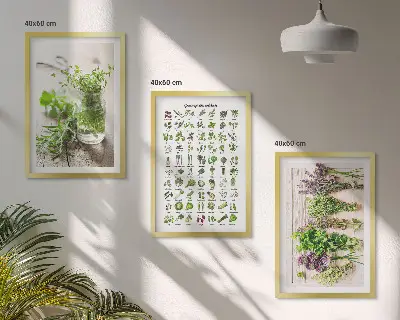 Herbes séchées pour la cuisine cadre photo mural