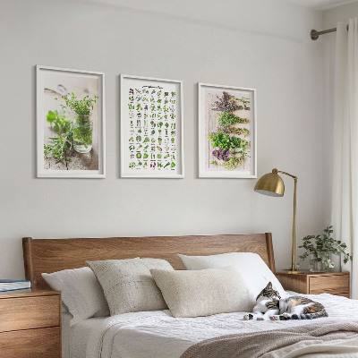 Cadre photo mural Herbes séchées pour la cuisine