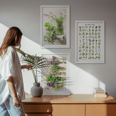 Cadre photo mural Herbes séchées pour la cuisine