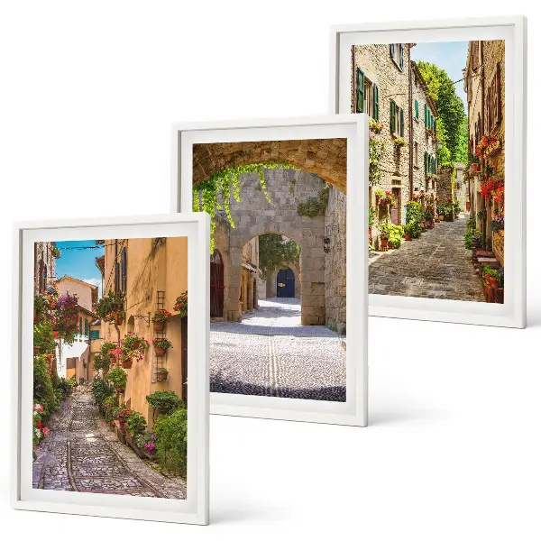 Lot de 3 tableaux pour salon représentant des rues italiennes avec fleurs et architecture