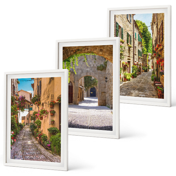 Lot de 3 tableaux pour salon Rues italiennes fleurs architecture