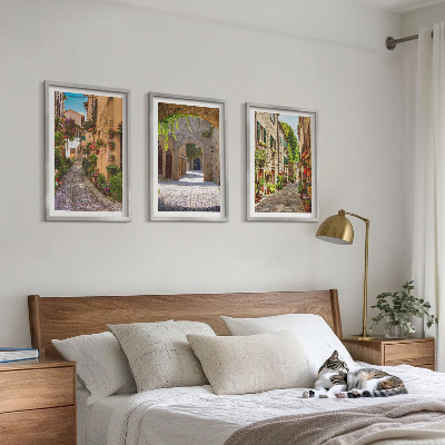 Lot de 3 tableaux pour salon Rues italiennes fleurs architecture