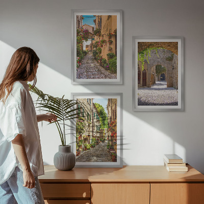 Lot de 3 tableaux pour salon Rues italiennes fleurs architecture