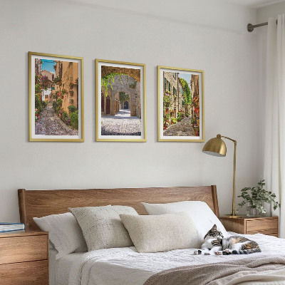 Lot de 3 tableaux pour salon Rues italiennes fleurs architecture
