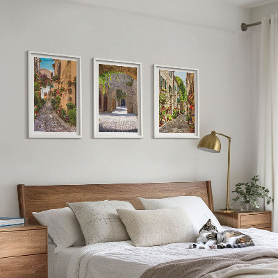 Lot de 3 tableaux pour salon Rues italiennes fleurs architecture