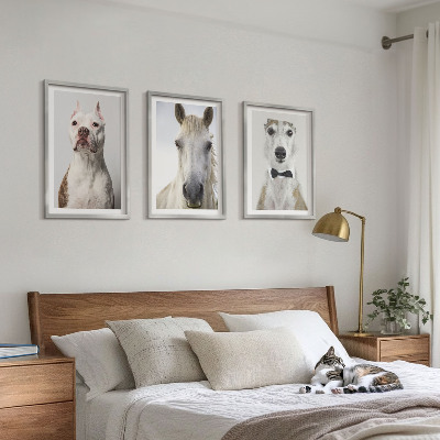Cadre photo mural Portraits élégants de chiens et de chevaux
