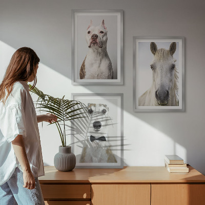 Cadre photo mural Portraits élégants de chiens et de chevaux