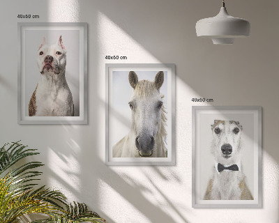 Cadre photo mural Portraits élégants de chiens et de chevaux