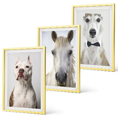 Cadre photo mural Portraits élégants de chiens et de chevaux