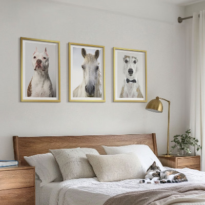Cadre photo mural Portraits élégants de chiens et de chevaux