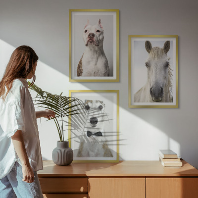 Cadre photo mural Portraits élégants de chiens et de chevaux